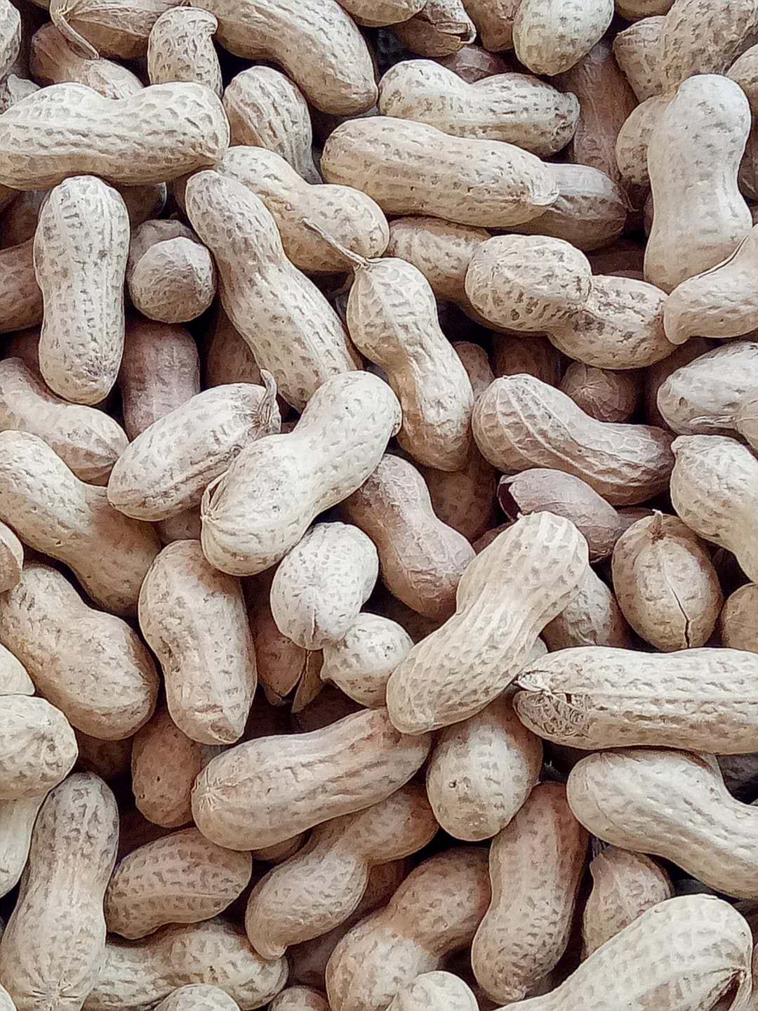 原味花生，现炒现卖，坚果炒货5斤包邮